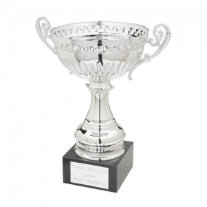 silver trophy Manufacturers in Delhi